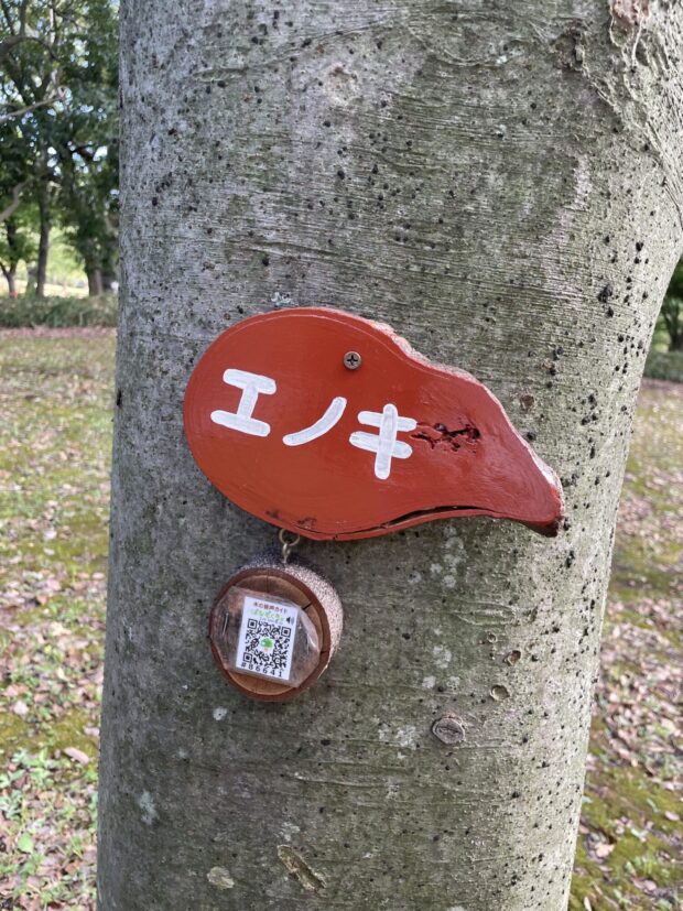 エノキ