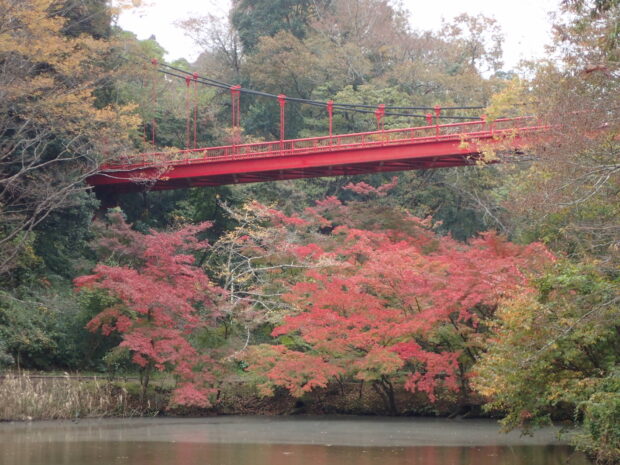 中の池