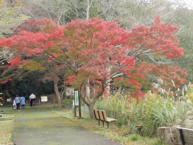 下の池