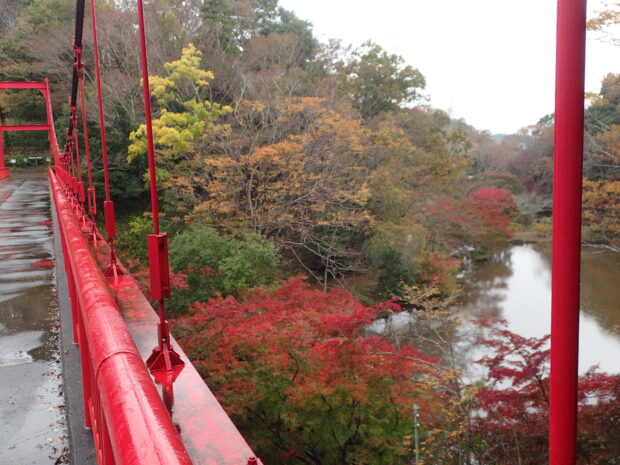 いずみ橋