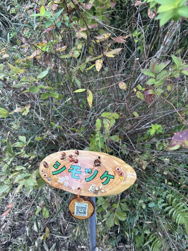 シモツケ