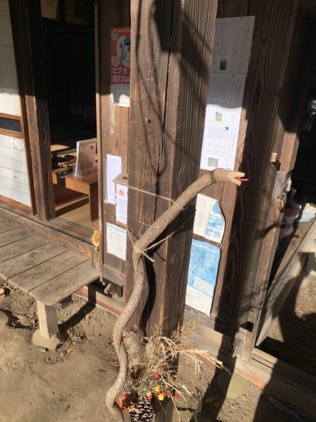 ハンノキ