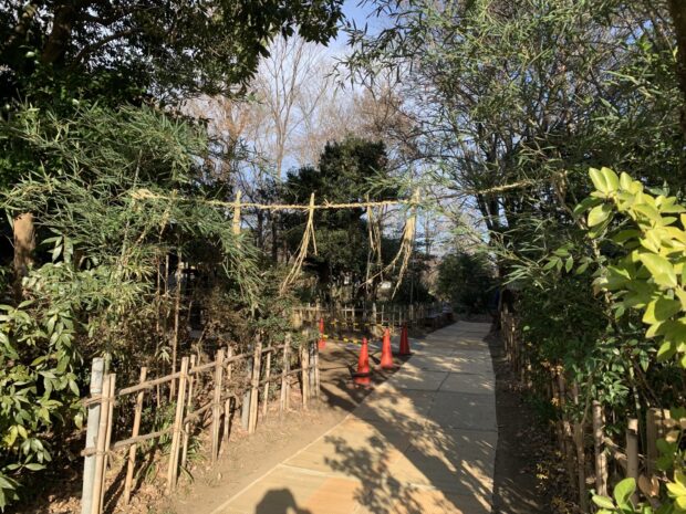 ハンノキ