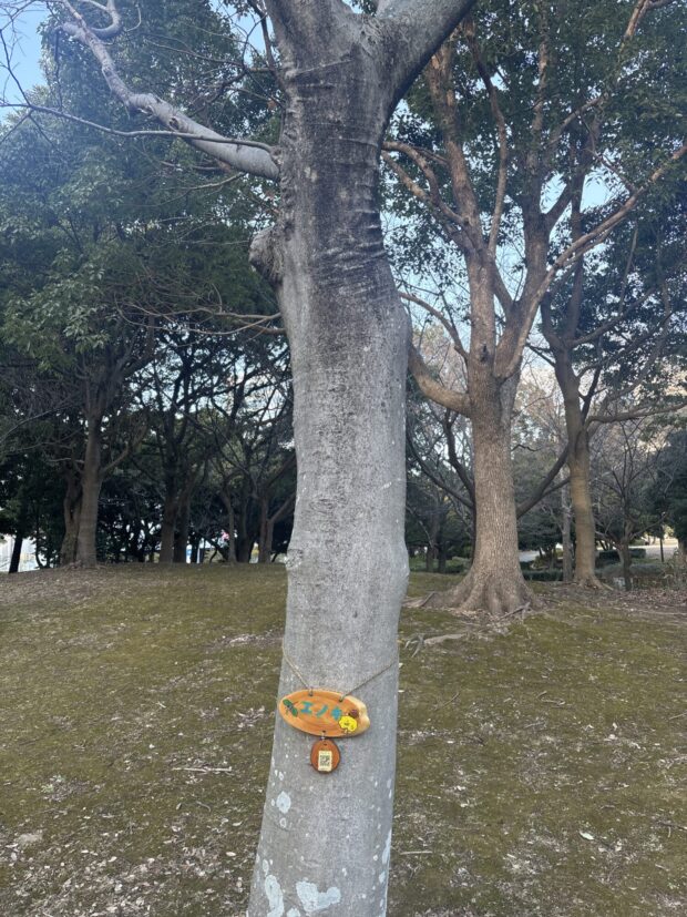 エノキ