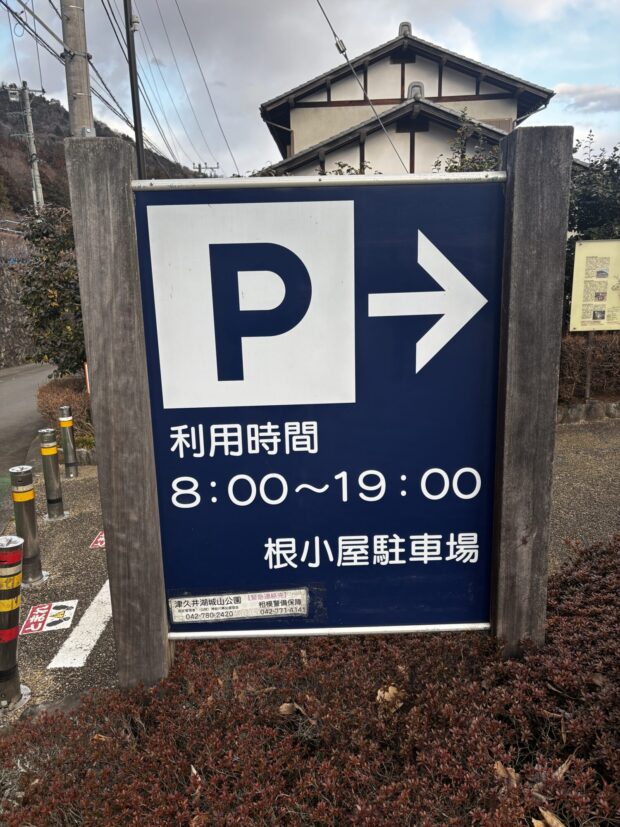 コブシ