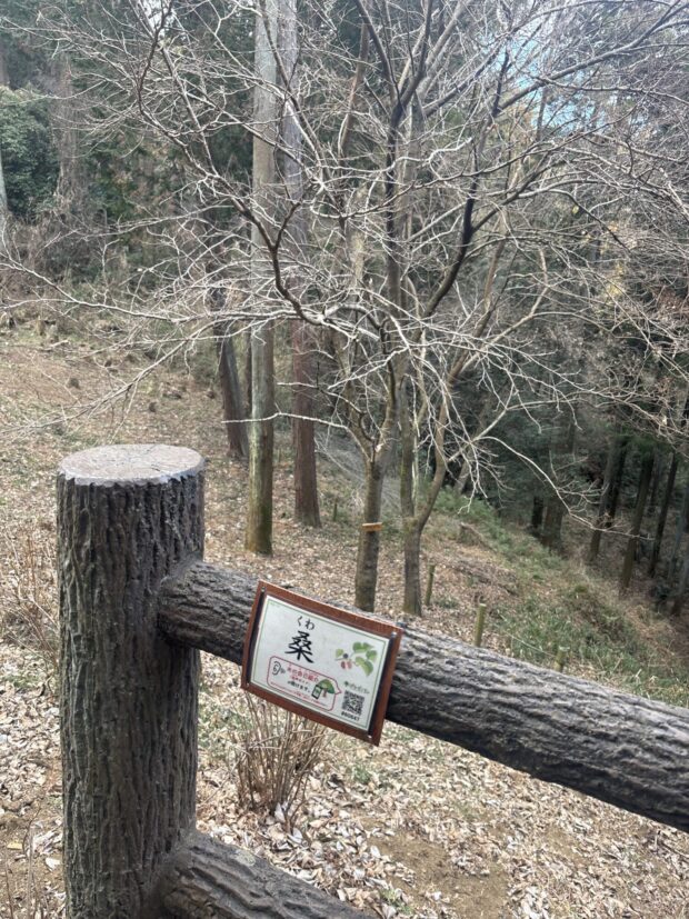 クワ