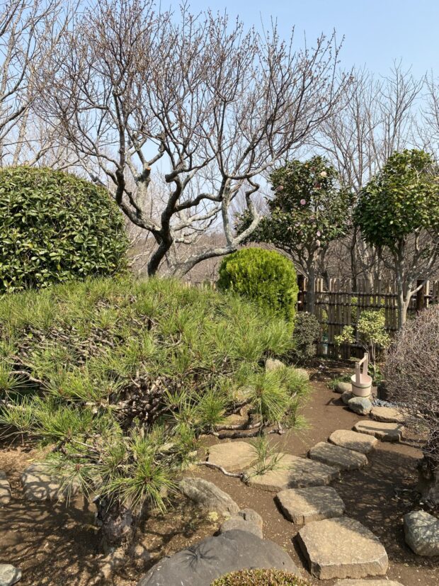 日本庭園