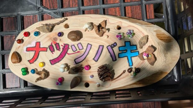 ナツツバキ