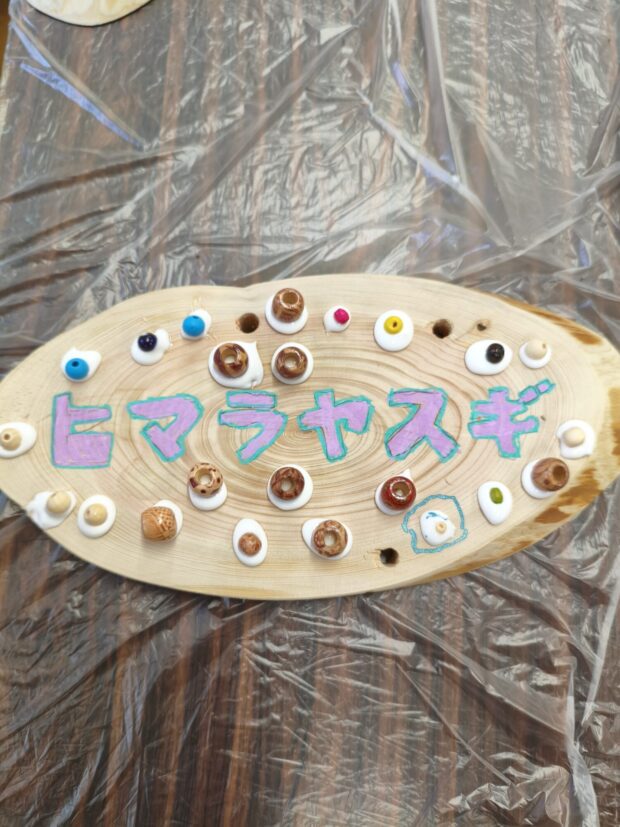 ヒマラヤスギ
