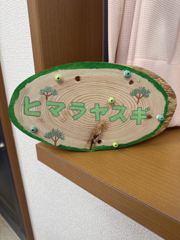 ヒマラヤスギ