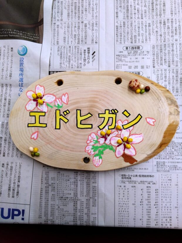 エドヒガン