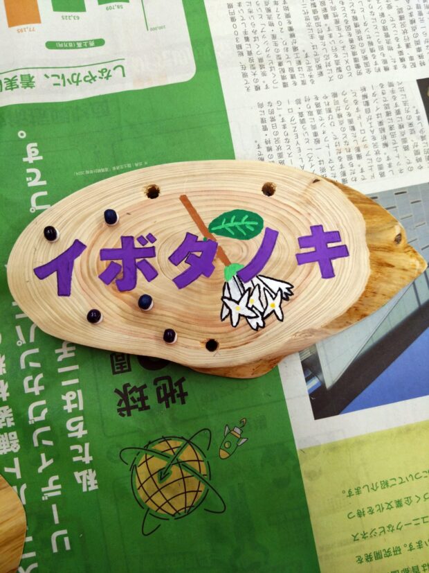 イボタノキ
