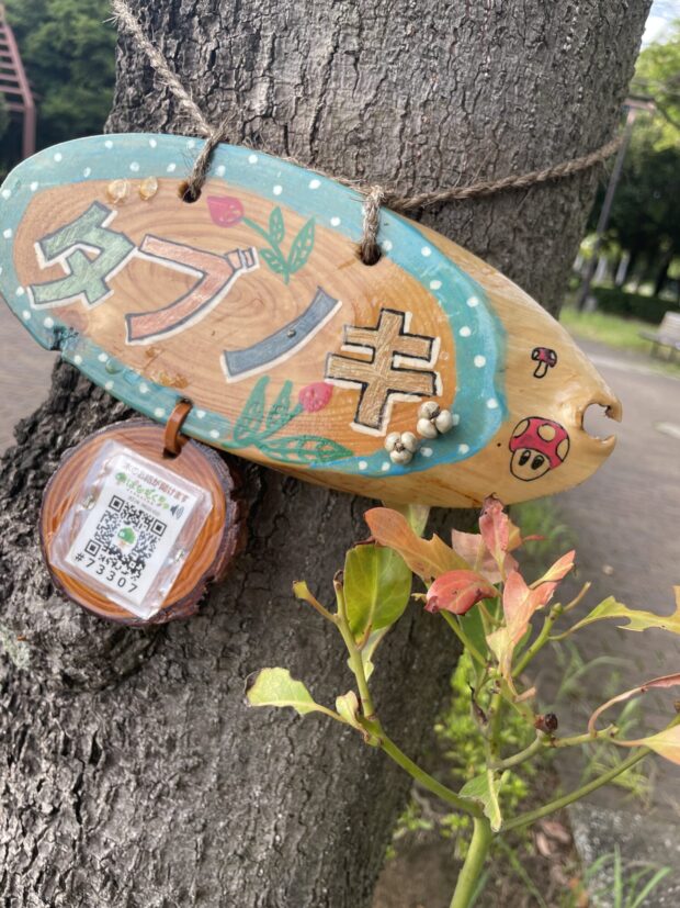 タブノキ