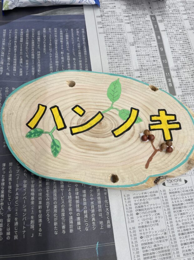 ハンノキ