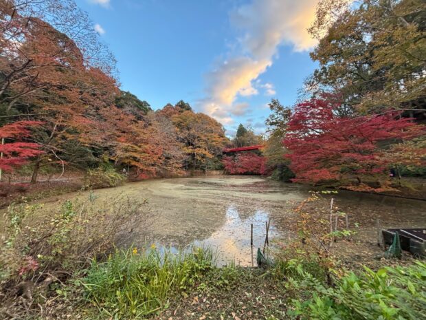 中の池