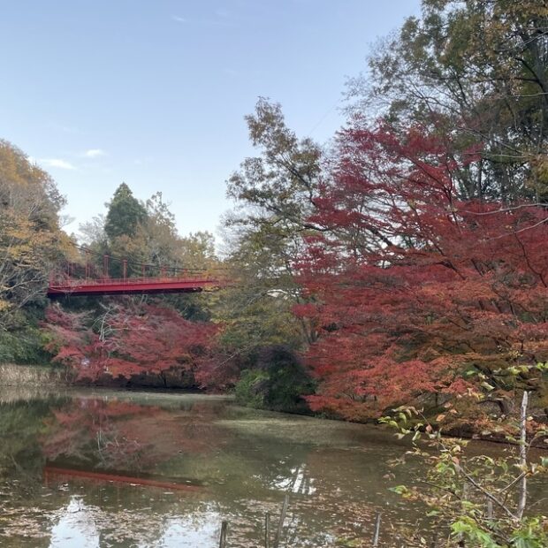 中の池