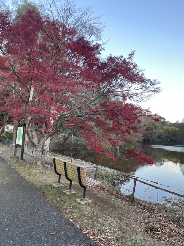 下の池