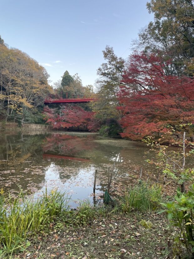 上の池
