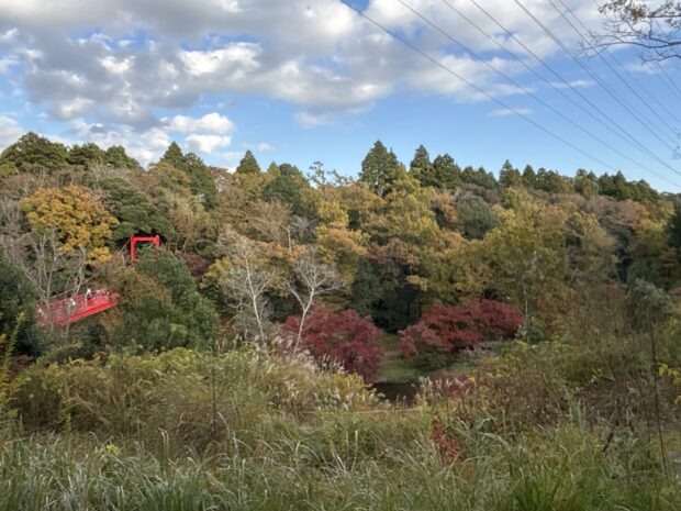 コウヨウザン